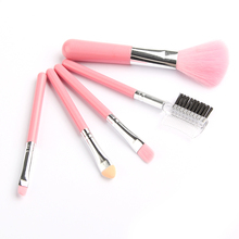 Fashion Mini 5Pcs Pink Makeup Brushes Cosmetics Tools Eyeshadow Eye Face Lipstick Makeup Brush Set Blush