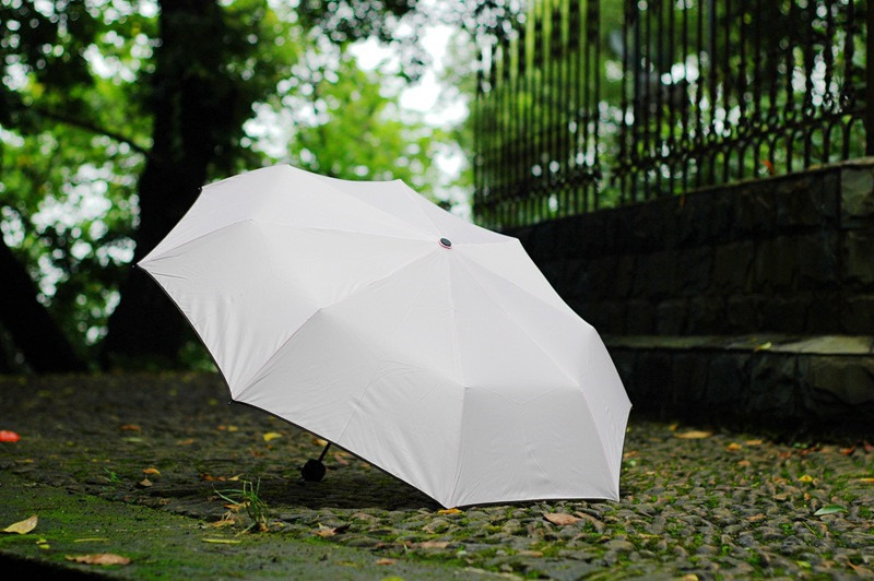 umbrella Paraguas parapluie18.jpg