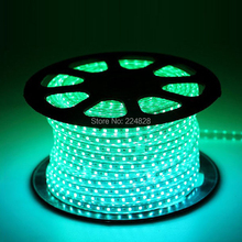 5050 SMD LED Strip Light Waterproof RGB 60LED M 220V 110V white warm white blue green