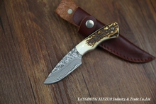 2015 NEW XINZUO Damascus steel Fixed blade Knives with Natural antlers Handle High Quality hunting knife