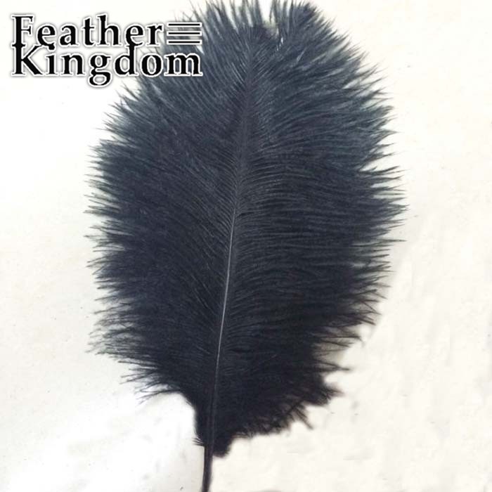 black ostrich feather