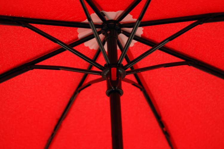 umbrella Paraguas parapluie02.jpg