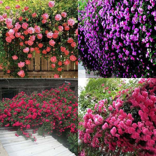 Garten dekor kaufen billiggarten dekor partien aus china garten ...