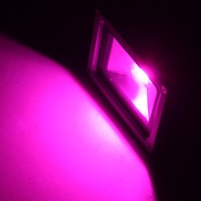 HTB1dy4VKFXXXXawXFXXq6xXFXXXl