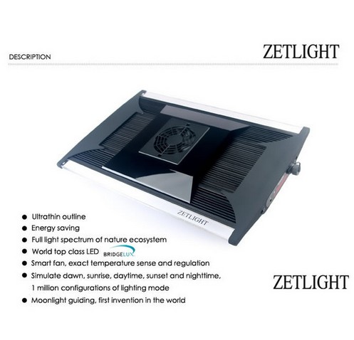 L   ZETLIGHT   -  (  ) ZT6500 ZT-6500    