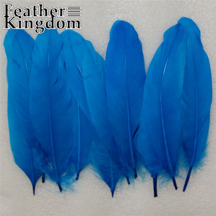 turquoise goose feathers
