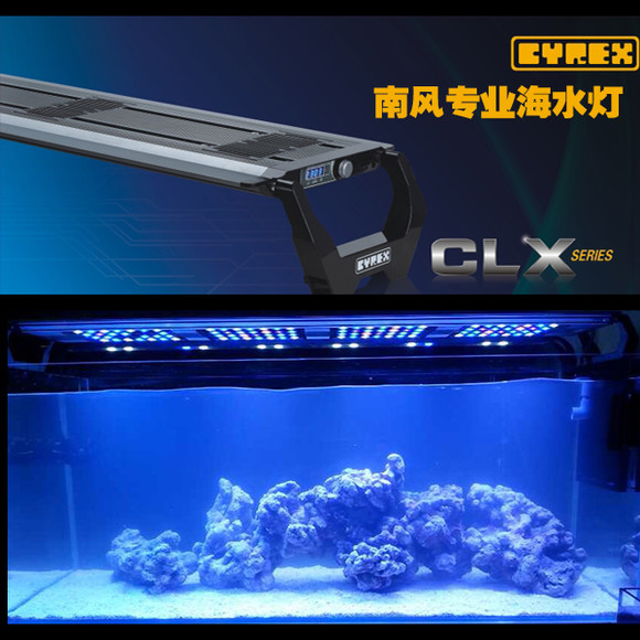 252  CLX-3        sps coral reef marine fish tank    