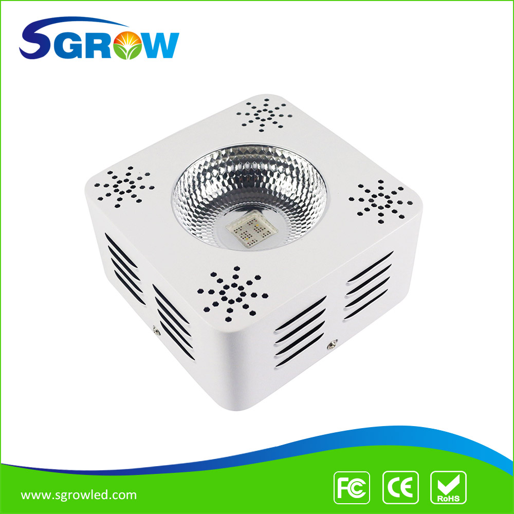 Spectrum king led coupon code