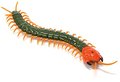 Infrared RC Centipede Creepy Crawly Remote Control Centipede Giant RC Scolopendra RC toys for children