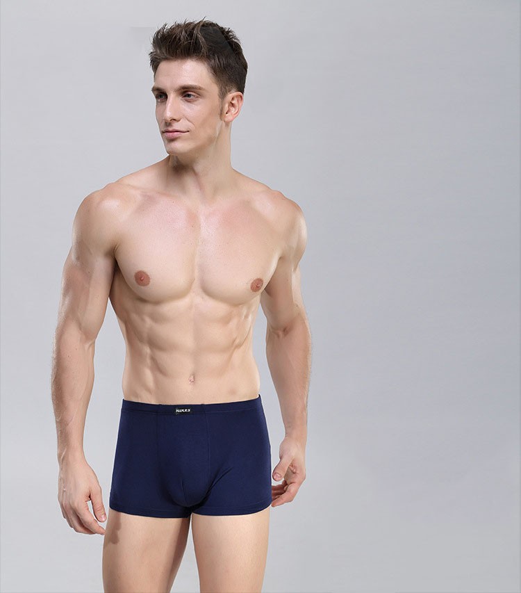 Hot sale men boxers Bamboo fiber Men Underwear U convex corner mens modal Solid pants high Quality Boxers Shorts wholesale L-3XL (15)