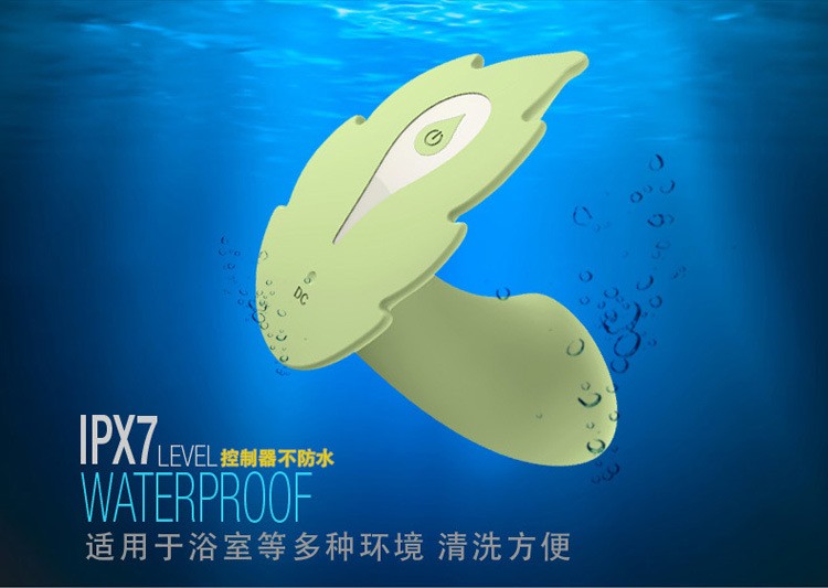 2808347318_486190071