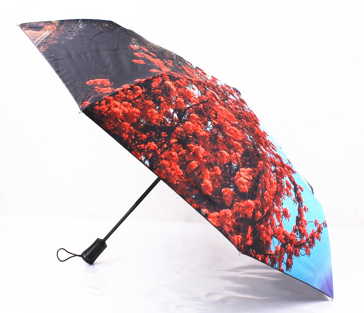 UMbrella guarda chuva paraguas09.jpg