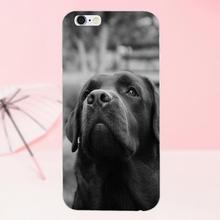 coque de iphone 4 labrador coque de iphone 4 labrador