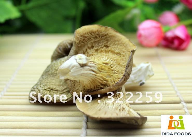 [DIDA FOODS] 500gr.,Chinese Rare Edible Abalone mushroom and natural dried abalone mushrooms
