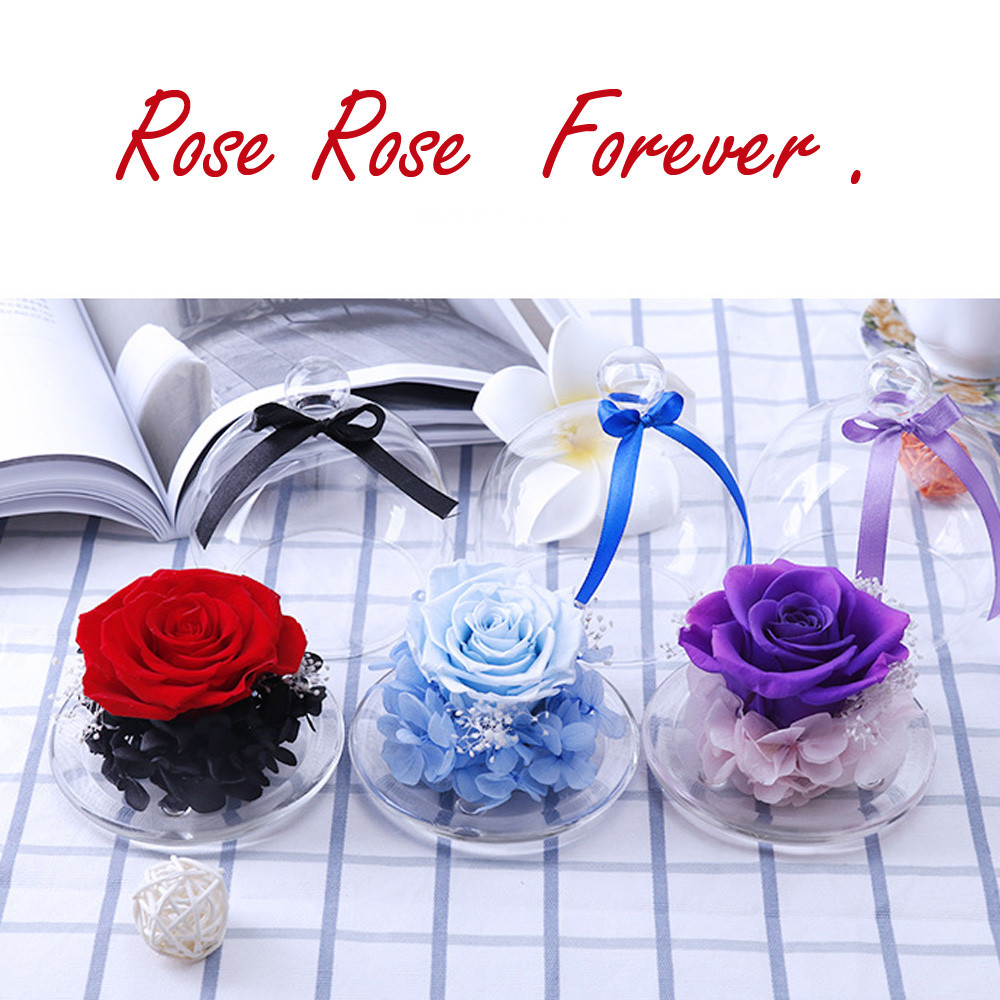 preserved roses flower in glass valentines day birthday gift