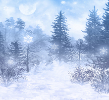 200CM*150CM (5ft*6.5ft) White Snow Christmas Backdrops Photography Christmas Tree Background for Photo Studio Photo Background