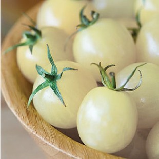 White Cherry Tomato Seed Mini Tomato Four Seasons of Vegetable Seeds 100 PCS