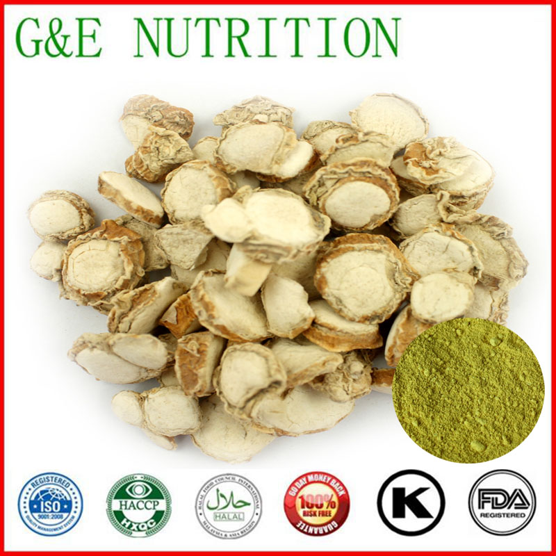300g Hot Selling Kaempferol  Extract with free shipping, 10:1