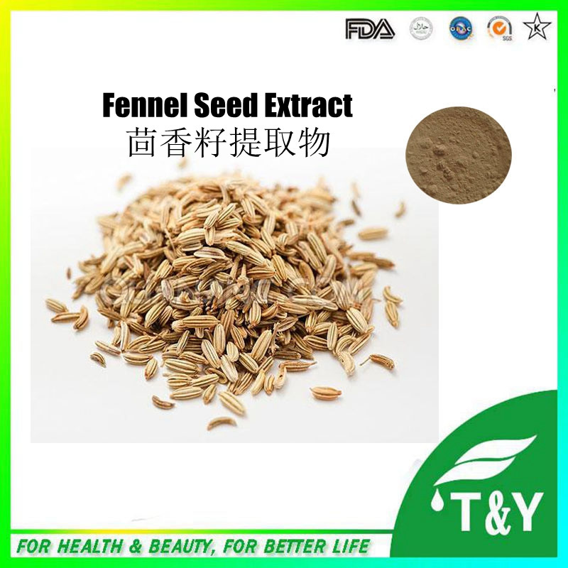 Hight Quality Fennel Seed Extract,Fennel Seed Extract Powder,Fennel Seed P.E. 700g/lot