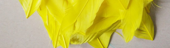 yellow goose feather 1-700-2