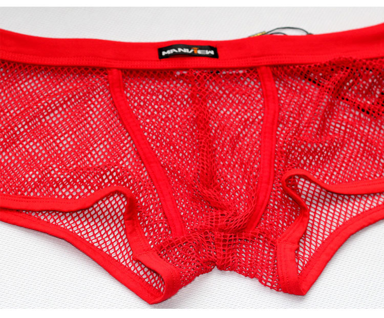 6 Color Mini Mesh See Through Penis Male Panties Sexy Sheer Men s underwear Boxers Sexy