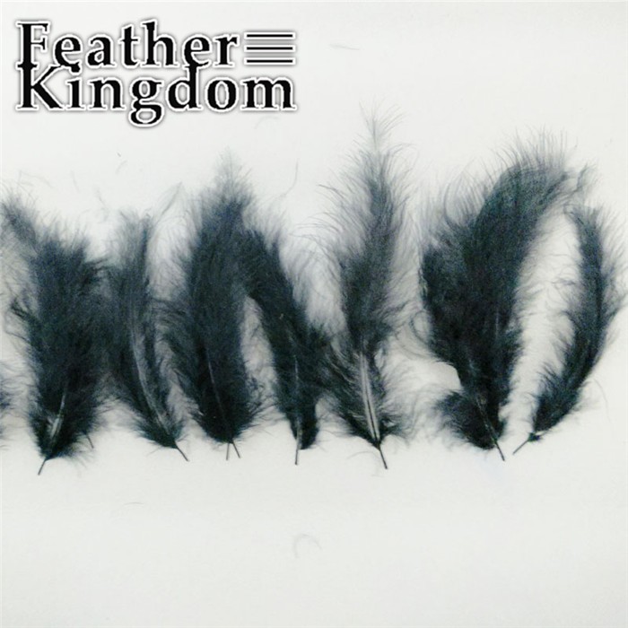 black Turkey feathers