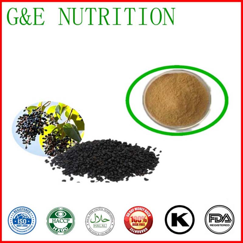 400g Top quality Glossy privet fruit/ Ligustrum lucidum Ait Extract with free shipping