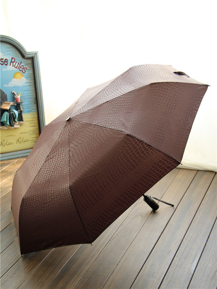 Umbrella paraguas parapluie15.jpg