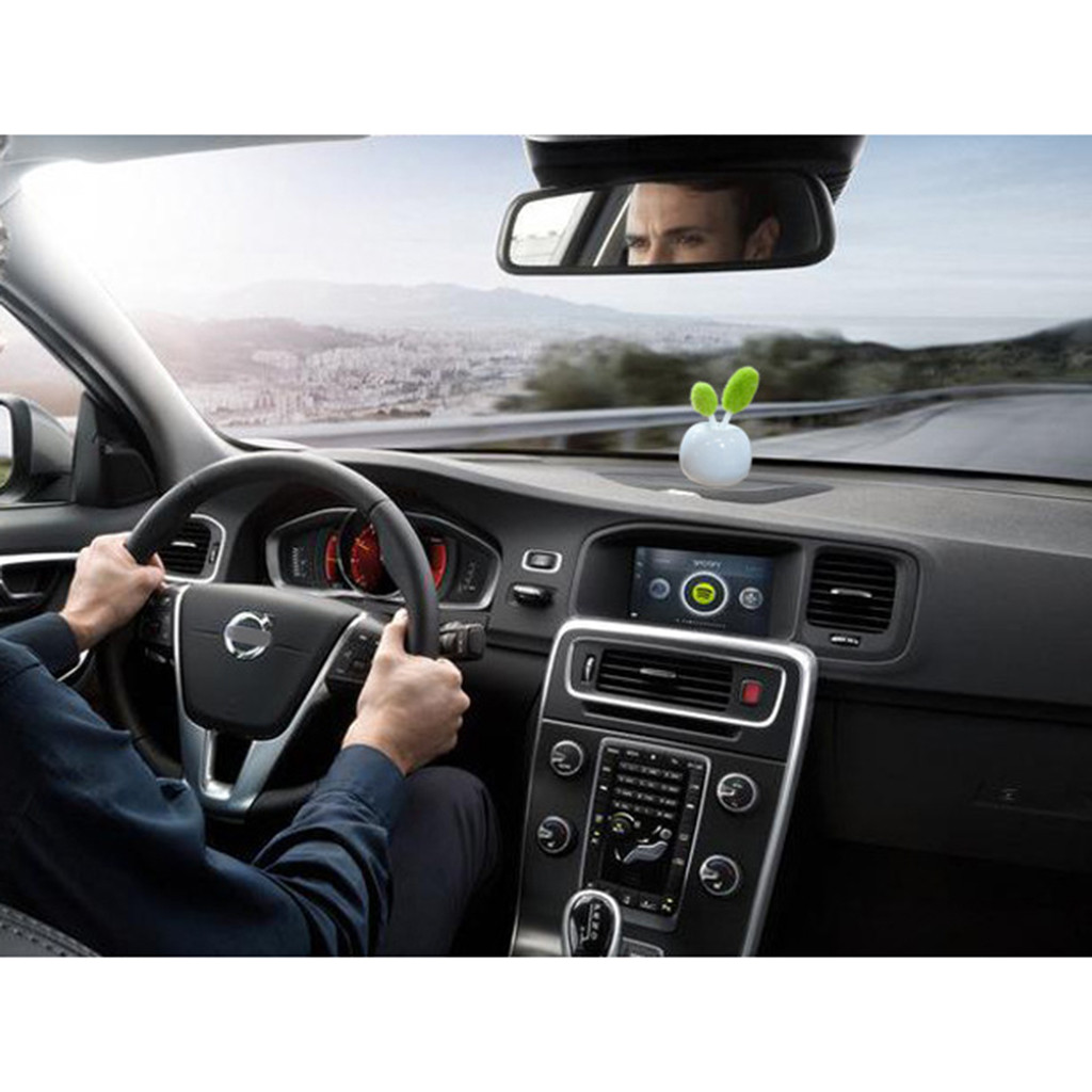 2020 New Reed Oil Diffusers with Natural Sticks, Glass Bottle and