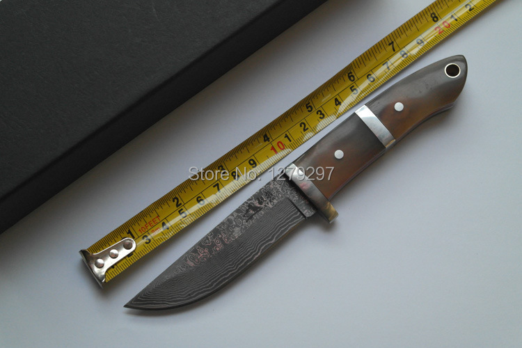 Damascus sharp knife knife tool outdoor ox horn hilt Damascus gift of knife