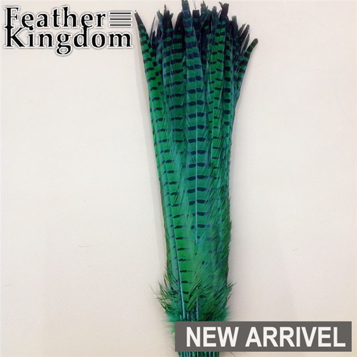 green ringneck pheasant feathers 1