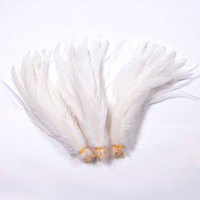 pure white rooster feathers