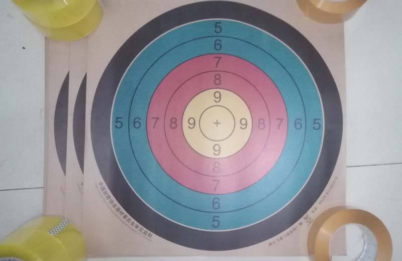 10PC Shooting Target 5 Rings Colorful Rainbow hunting Archery Arrow Target Sheet For Competition Training Shooting