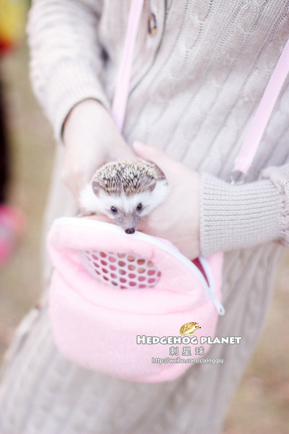 TB2UV2wbFXXXXa3XXXXXXXXXXXX-129774407