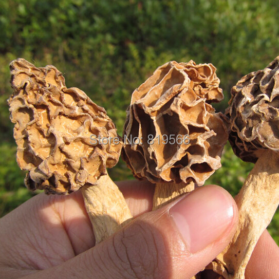 Online Buy Wholesale dried morel mushroom from China dried morel