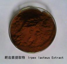1000g Irpex lacteus extract 30% Polysaccharide