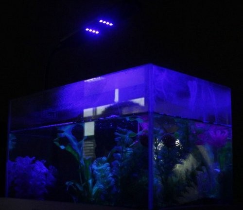 48 LED Aquarium Lights Kit for Fish Tanks lighting Color White Blue (5)