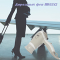 Hair dryer HD8812