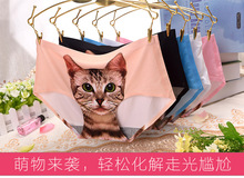 Wholesale Fashion High Quality 3D printing Summer viscose seamless a chip of the cat panties sexy women’s mid waist briefs