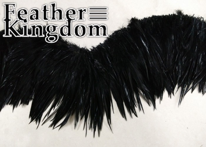 black rooster feather 5-700