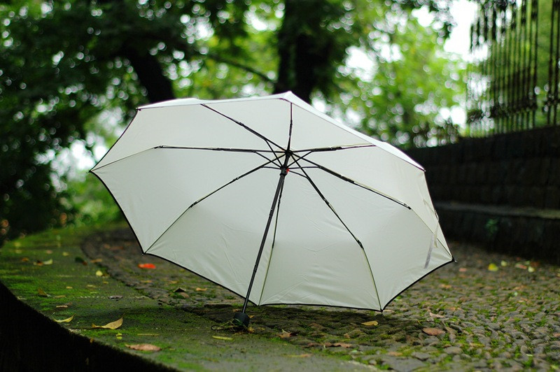 umbrella Paraguas parapluie11.jpg