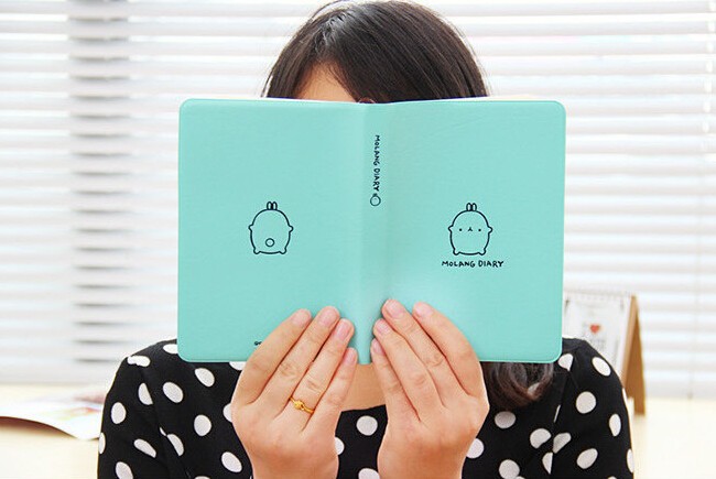 2015-2016 Cute Kawaii Notebook Cartoon Molang Rabbit Journal Diary Planner Notepad for Kids Gift Korean Stationery28