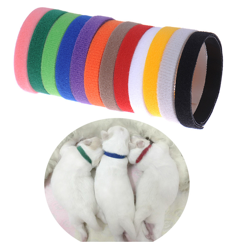 puppy whelping collars 12 whelping small pet collar id velcro soft adjustable reusable puppy whelping collars 12 whelping small pet collar id velcro soft adjustable reusable