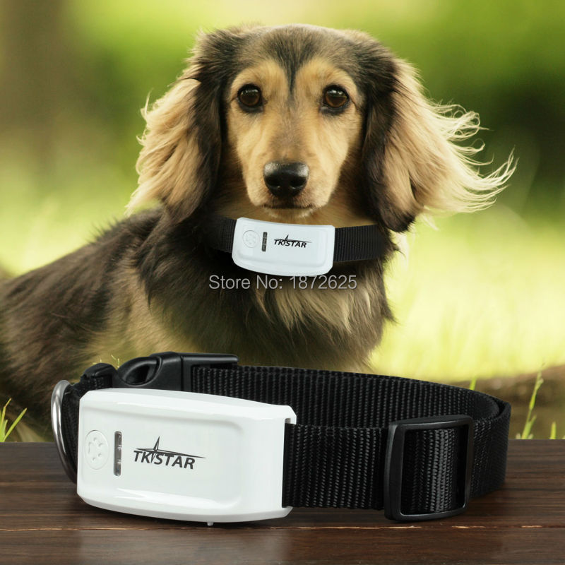 Super Long Standby Time Pet GPS Tracker Real-time GSM GPS Cat Dog Collar Tracker Electronic Fence for Android IOS App (EU Plug) (20)