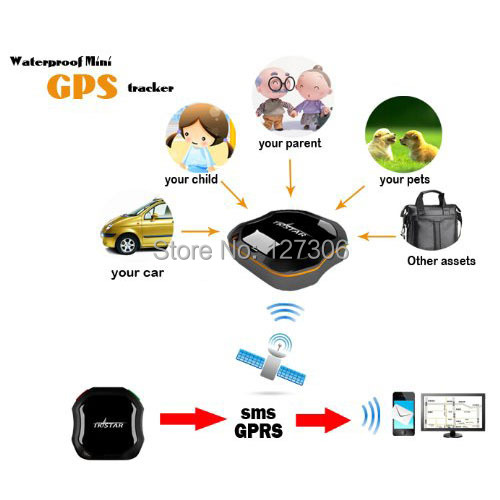 S-GPS-2230_13.jpg