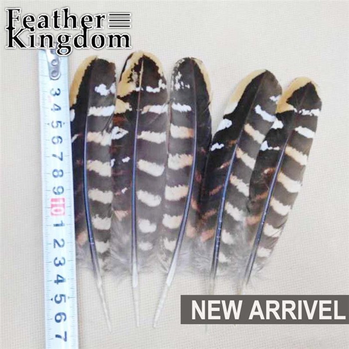 Reeves pheasant feather 1