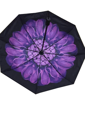   unbrella   