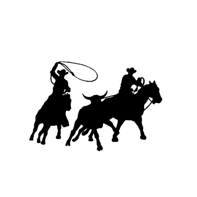 Pegatinas Western vaquero caballos sillín Western caballo caballos 15 cm pegatinas auto