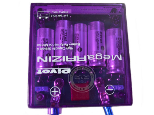 PIVOT Mega RAZIN Voltage Stabilizer 3