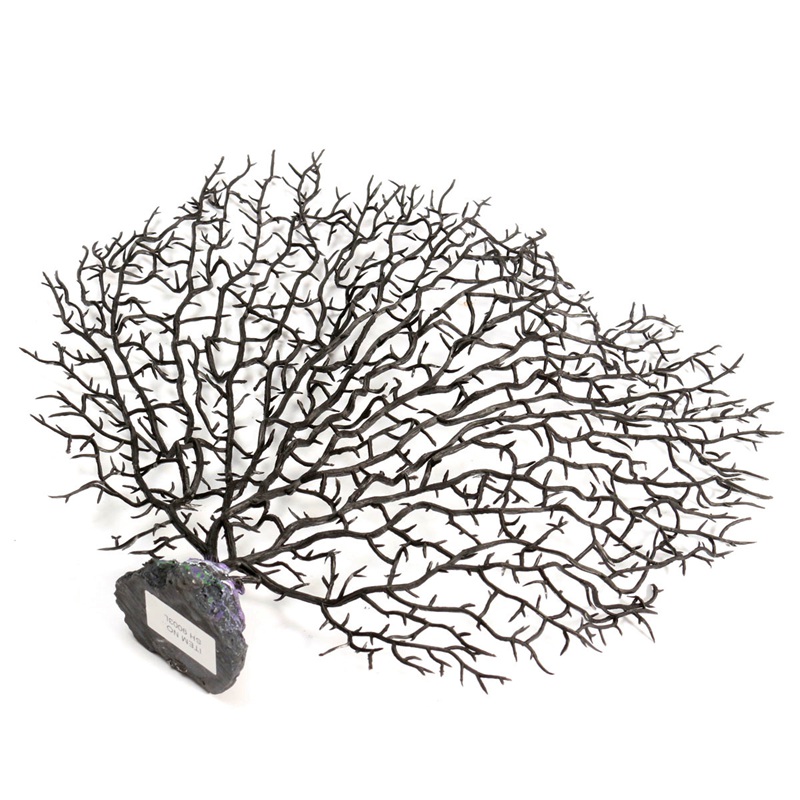 Sea Fan Decor Techieblogie Info Sea Fan C Decor Home Decorating Ideas
